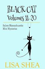 Black Cat Vols. 11-20 - The Salem Massachusetts Mini Mysteries