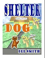 Shelter Dog