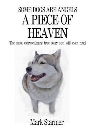 Some Dogs Are Angels