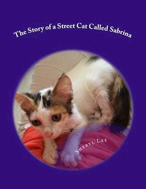 The Story of a Street Cat Called Sabrina