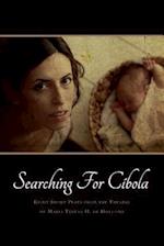 Searching for Cíbola