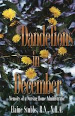 Dandelions in December