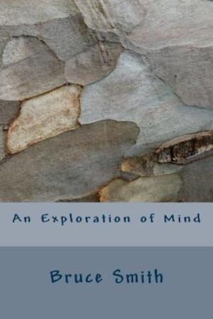 An Exploration of Mind