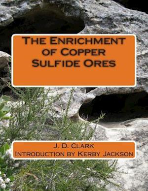 The Enrichment of Copper Sulfide Ores