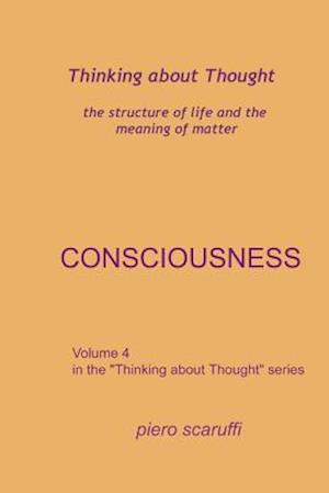 Thinking about Thought 4 - Consciousness