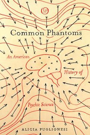 Common Phantoms