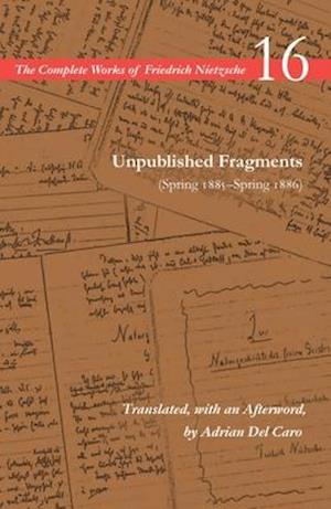 Unpublished Fragments (Spring 1885–Spring 1886)