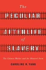 Peculiar Afterlife of Slavery