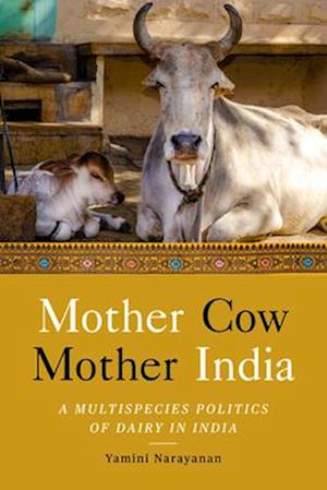 Mother Cow, Mother India