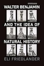Walter Benjamin and the Idea of Natural History