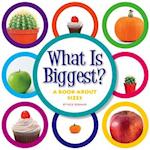 What Is Biggest?