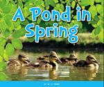 A Pond in Spring