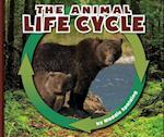 The Animal Life Cycle