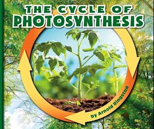 The Cycle of Photosynthesis