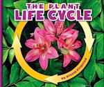The Plant Life Cycle