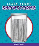 Learn about Snowstorms