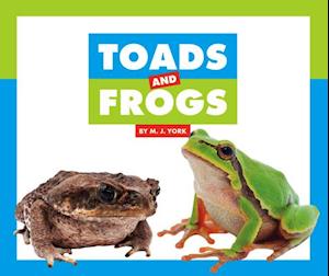 Toads and Frogs