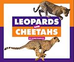 Leopards and Cheetahs