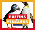 Puffins and Penguins