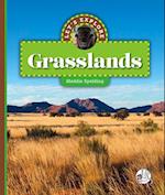 Let's Explore Grasslands