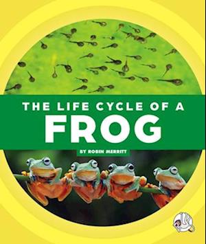 The Life Cycle of a Frog