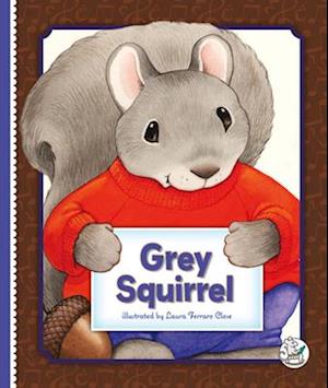 Grey Squirrel