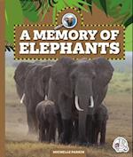 A Memory of Elephants