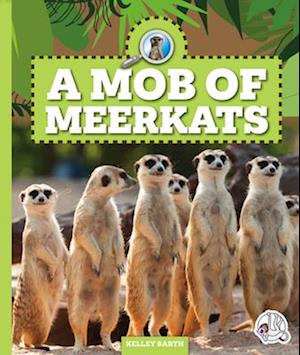 A Mob of Meerkats