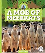 A Mob of Meerkats