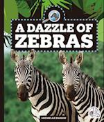 A Dazzle of Zebras