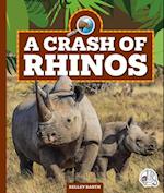 A Crash of Rhinos