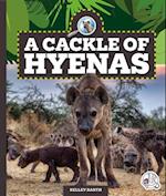 A Cackle of Hyenas