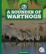 A Sounder of Warthogs