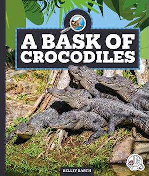 A Bask of Crocodiles