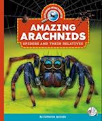 Amazing Arachnids