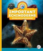 Important Echinoderms