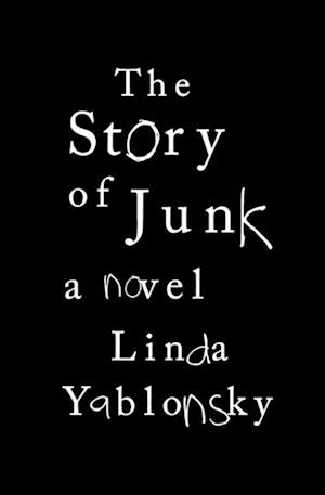 Story of Junk