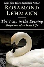 The Swan in the Evening