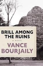 Brill Among the Ruins