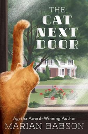 Cat Next Door
