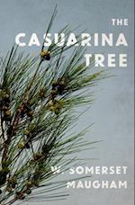 Casuarina Tree