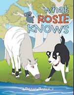 What Rosie Knows
