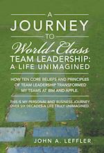 A Journey to World-Class Team Leadership