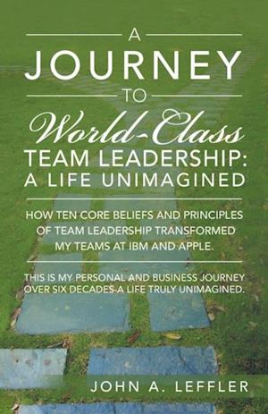 Journey to World-Class Team Leadership