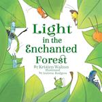 Light in the Enchanted Forest