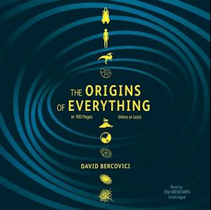 Origins of Everything in 100 Pages (More or Less)