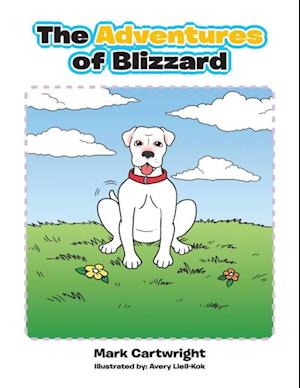 Adventures of Blizzard