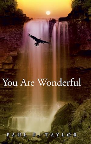 You are Wonderful