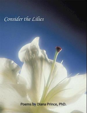 Consider the Lilies