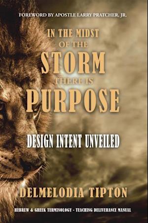 In the Midst of the Storm There Is Purpose